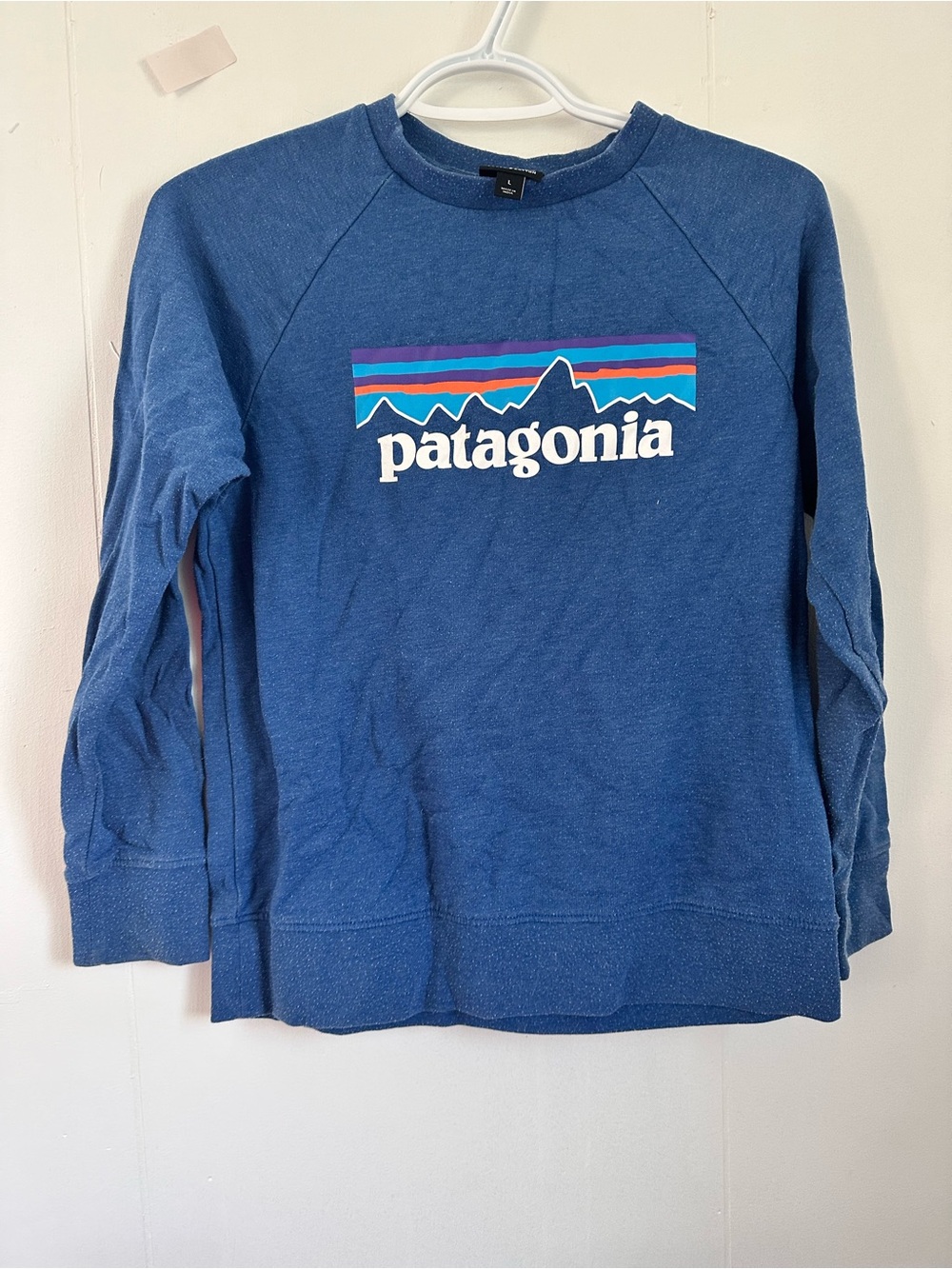 Patagonia Youth Sweater